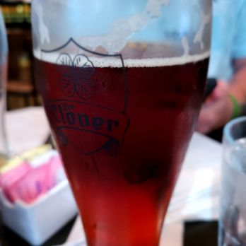 The Clover Irish Pub - Shamrock Red Ale - Irish Near Me - Miami, Florida The Clover Irish Pub - Shamrock Red Ale - Irish Near Me - Miami, Florida