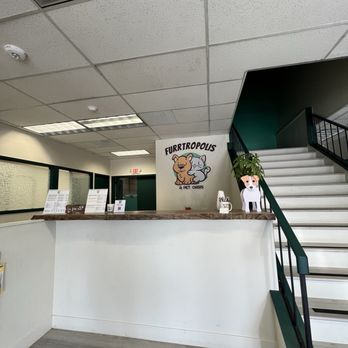 Furrtropolis - Front desk - Pet Boarding Near Me - San Jose, California