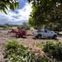 Photo of One Two Tree Care