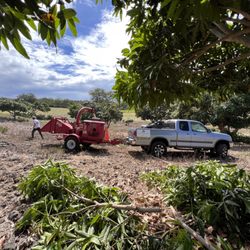 One Two Tree Care