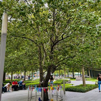survivor tree - Survivor Tree_NYC_Yelp_Sanju-1 - Local Flavor Near Me survivor tree - Survivor Tree_NYC_Yelp_Sanju-1 - Local Flavor Near Me