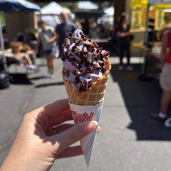 The Cheeky Kiwi - Blueberry ice cream with chocolate shavings and waffle cone - Ice Cream & Frozen Yogurt Near Me - Sedona, Arizona