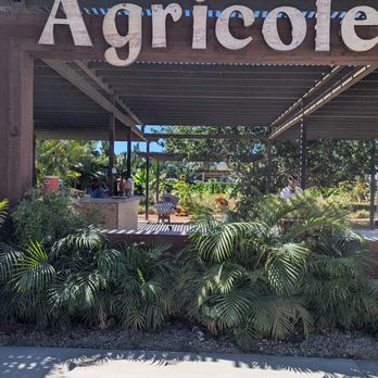 Agricole - Fruits & Veggies Near Me - Pescadero, BCS Agricole - Fruits & Veggies Near Me - Pescadero, BCS
