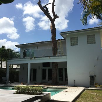 Premium Tree Service - Tree Services Near Me - Miami, Florida Premium Tree Service - Tree Services Near Me - Miami, Florida