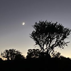 Dawn S Birdsong, MA - LCPC 