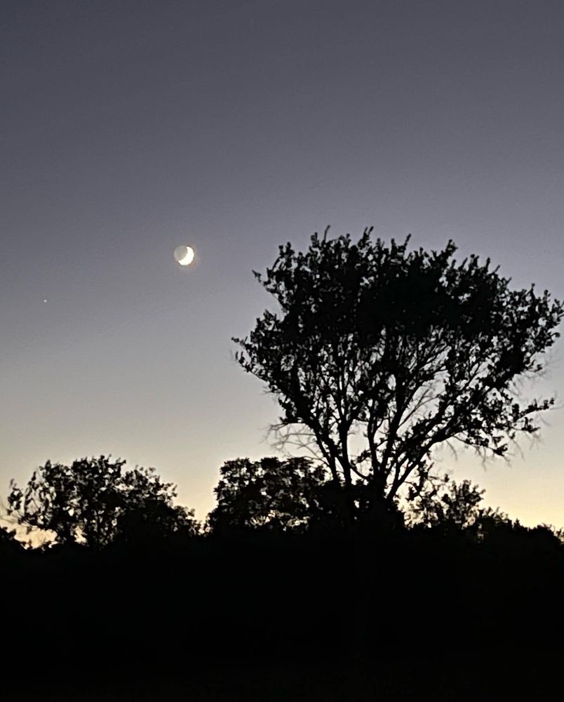 Dawn S Birdsong, MA - LCPC  - grief counselor in Lenexa, KS