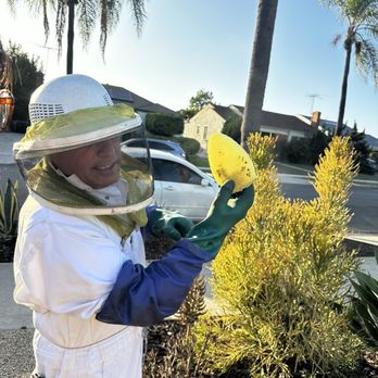 A Bee Man - David showing us the honeycomb - Pest Control Near Me A Bee Man - David showing us the honeycomb - Pest Control Near Me