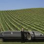 Photo of Silver Saddle Limousine