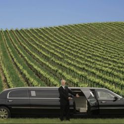 Silver Saddle Limousine