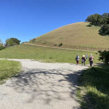 Dry Creek Park - Parks Near Me - Union City, California Dry Creek Park - Parks Near Me - Union City, California