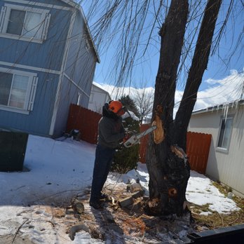 Greater Nevada Tree Service - Tree Services Near Me - sparks, Nevada Greater Nevada Tree Service - Tree Services Near Me - sparks, Nevada