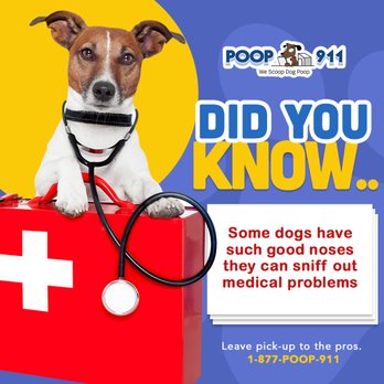 Poop 911 - Pet Waste Removal Near Me Poop 911 - Pet Waste Removal Near Me