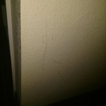 Quality Inn - Gross wall. - Hotels Near Me - Needles, California