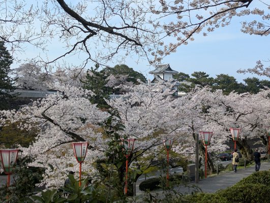 Kanazawa Castle Park by null