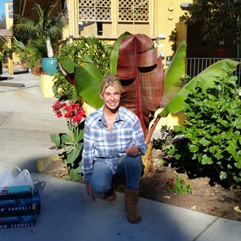 Rainbow Sandals - Shoe Stores Near Me - San Clemente, California Rainbow Sandals - Shoe Stores Near Me - San Clemente, California