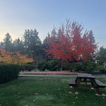 Taylor Ray’s Cafe Hawks Prairie - Outdoor picnic table in early November - Coffee & Tea Near Me - Lacey, Washington