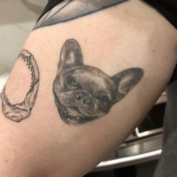 My pup, Mac My pup, Mac