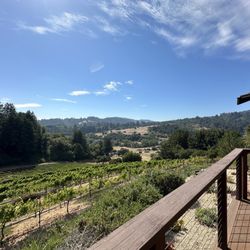 Ferrari Ranch Wines - View from the winery