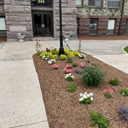 Barry's Greenhouses & Landscaping