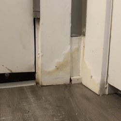 The Falls at Forsyth Apartments - Water damage