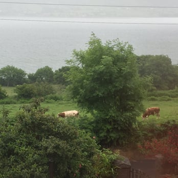 Carlingford Lough - Morning mist on the countryside overlooking Carlingford Lough - Lakes Near Me