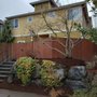 Photo of Nature Landscaping Maintenance