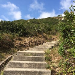 衛奕信徑第一段 - Seriously, never ending stairs. Prepare yourself.