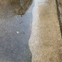 Elite Wash