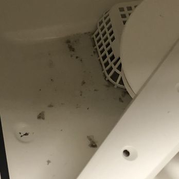 The Estates At Lafayette Square - More mold that they said they fixed. - Apartments Near Me - Mobile, Alabama The Estates At Lafayette Square - More mold that they said they fixed. - Apartments Near Me - Mobile, Alabama
