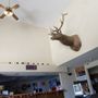 Photo of Stay Wise Inns
