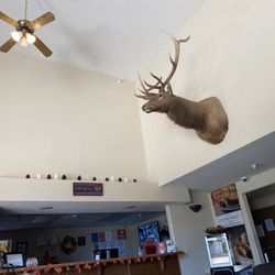 Stay Wise Inns - Main entrance, game area