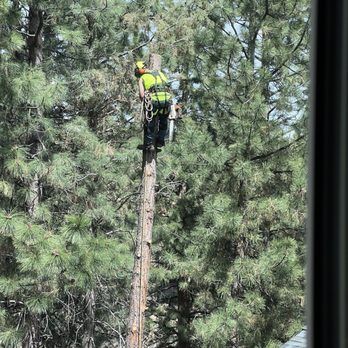 Prevish Home and Tree Services - Tree Services Near Me Prevish Home and Tree Services - Tree Services Near Me