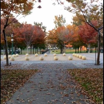 Weber Point Events Center - The trees at Weber point make the most beautiful fall foliage during fall time. - Venues & Event Spaces Near Me - Stockton, California Weber Point Events Center - The trees at Weber point make the most beautiful fall foliage during fall time. - Venues & Event Spaces Near Me - Stockton, California