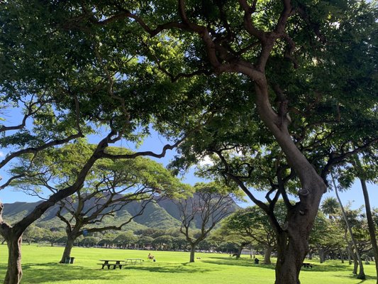 Kapiʻolani Regional Park by null