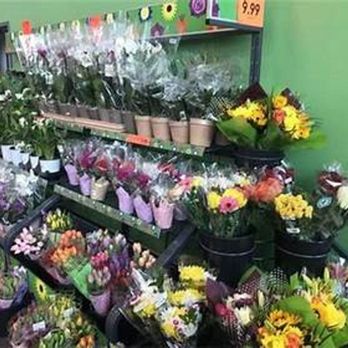 Lidl - Grocery Near Me - Indian Land, South Carolina Lidl - Grocery Near Me - Indian Land, South Carolina
