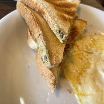 Denny's - Molded bread. They said it was butter. - American Near Me - Gilroy, California