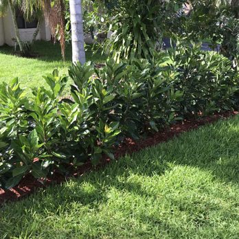 AMKO Lawn & Landscaping - Lawn Services Near Me - Coconut Creek, Florida AMKO Lawn & Landscaping - Lawn Services Near Me - Coconut Creek, Florida