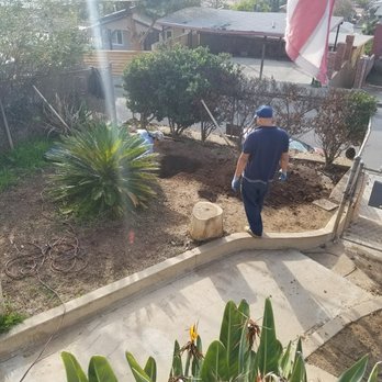 Drain it Rooter - The next day when George showed up and had to dig the yard to access the clogged area of my system. - Plumbing Near Me - Los Angeles, California Drain it Rooter - The next day when George showed up and had to dig the yard to access the clogged area of my system. - Plumbing Near Me - Los Angeles, California