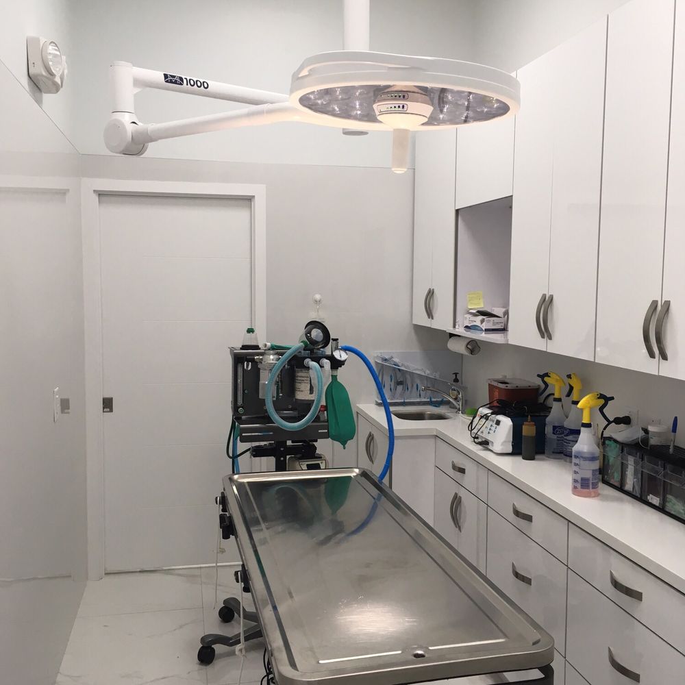 Pet Lovers Animal Clinic - Operating room, spotless! - Veterinarians Near Me - Miami, Florida Pet Lovers Animal Clinic - Operating room, spotless! - Veterinarians Near Me - Miami, Florida