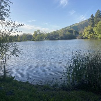 Ed R. Levin County Park - Dog Parks Near Me - Milpitas, California