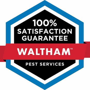 Waltham Pest Services - Pest Control Near Me - Natick, Massachusetts Waltham Pest Services - Pest Control Near Me - Natick, Massachusetts