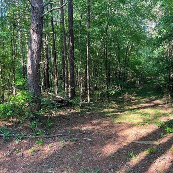 SDJ Land Management & Forestry Mulching - Tree Services Near Me - Archdale, North Carolina SDJ Land Management & Forestry Mulching - Tree Services Near Me - Archdale, North Carolina
