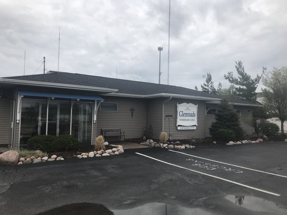 GLENROADS VETERINARY CLINIC Updated August 2024 35 Photos 2775 Devils Glen Rd, Bettendorf