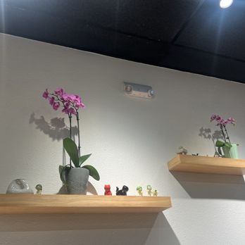 NOA Sushi - Interior decor- the smiskis are adorable - Japanese Near Me - Beaverton, Oregon NOA Sushi - Interior decor- the smiskis are adorable - Japanese Near Me - Beaverton, Oregon