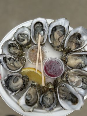 The Jolly Oyster Ventura by null