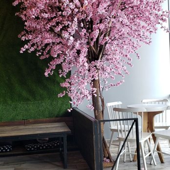 1102 Bubble Tea & Bites - Seating - Desserts Near Me - Arlington, Texas