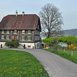 Gasthaus Wildenmann - Gasthaus Wildenmann