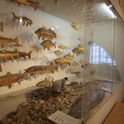 Deutsches Jagd- und Fischereimuseum