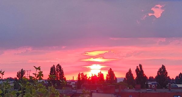 Moxy Berlin Humboldthain Park by null