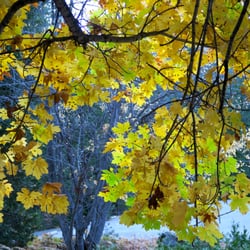 Marble Mountain Wilderness